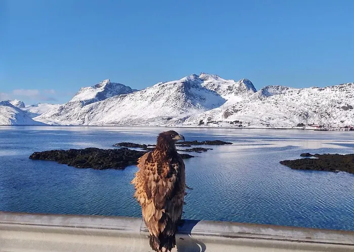 - Lofoten * Fredvang