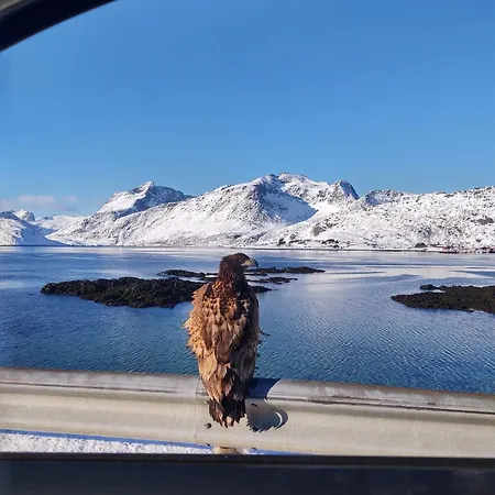 - Lofoten * Fredvang